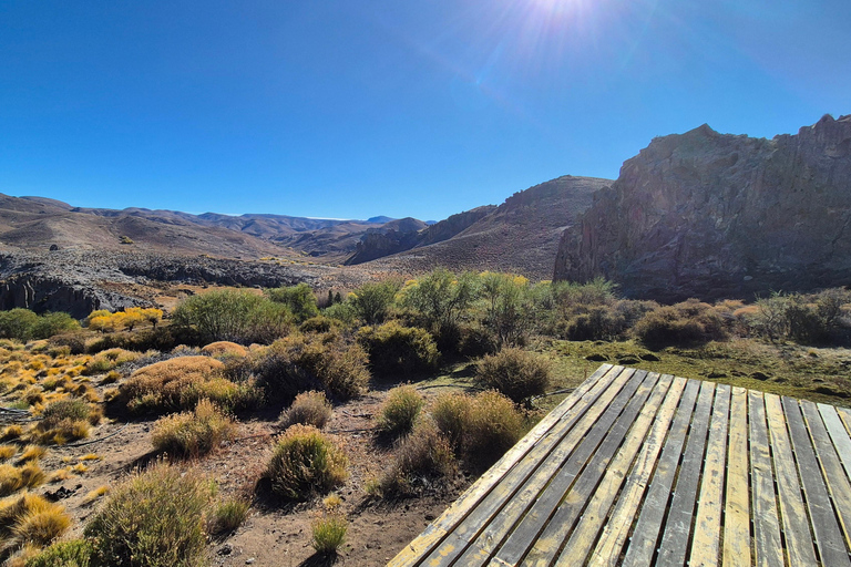 Steppe Experience: Quad Bike Adventure