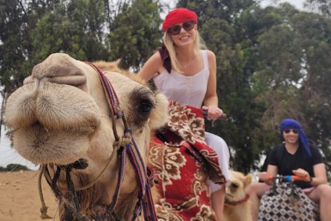 Agadir or Taghazout: Camel Ride, Flamingo River Tour & Drink