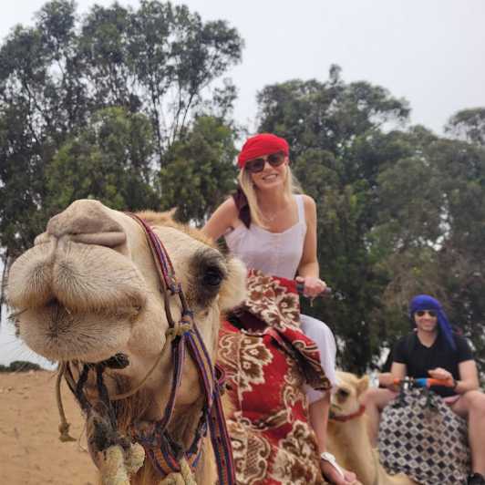 Agadir or Taghazout: Camel Ride, Flamingo River Tour & Drink