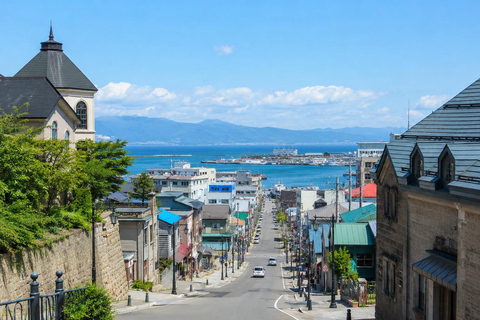 Sapporo: Otaru Canal Private Walking Tour with Photos
