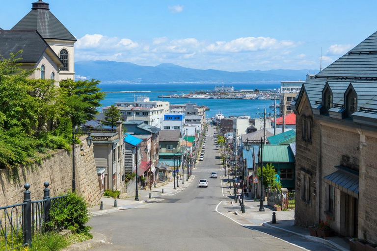 Sapporo: Otaru Canal Private Walking Tour with Photos