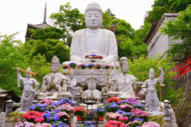 Nara Hidden Gems: Deer, Tsubosaka-dera, Kasuga & Naramachi