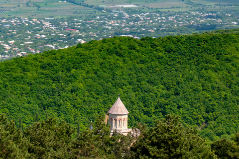 Tbilisi: Kakheti Wine, Harvest & Local Life Tour
