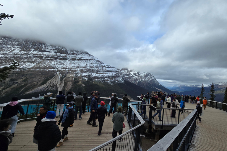 Tagestour zum Peyto Lake, Lake Louise, Johnston Canyon, mehr.Abfahrt von Canmore