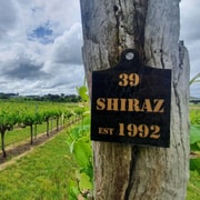 Canberra: Private Wine Discovery Tour with Lunch