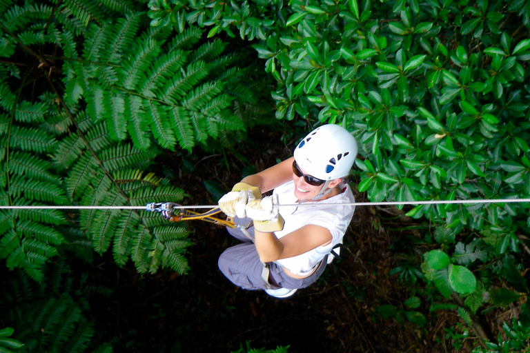Nadi: przygoda na tyrolce i eksploracja jaskińNadi: przygoda na tyrolce i zwiedzanie jaskiń