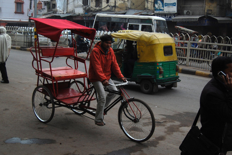 Delhi: Old Delhi Cultural Tour with Gandhi Memorial