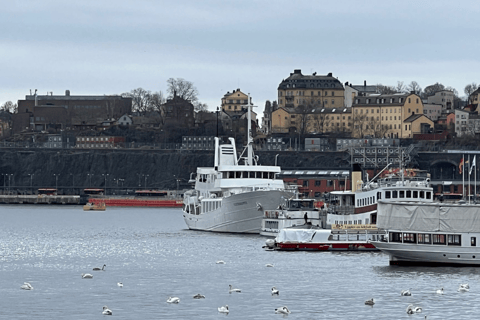 Stoccolma: tour guidato in barca dell'arcipelago di Vaxholm e Kastellet