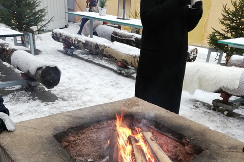 Estocolmo: Tradiciones y Degustaciones Navideñas Excursión en Grupo Reducido