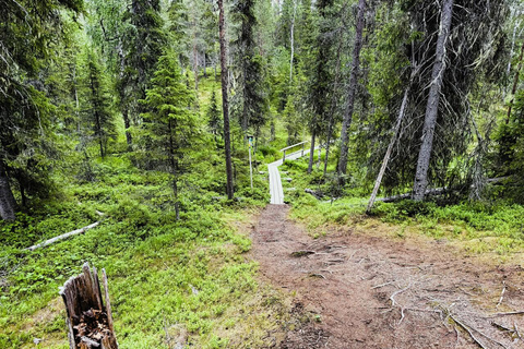 Rovaniemi to Ruka Roller Coaster & Korouoma Canyon Waterfall