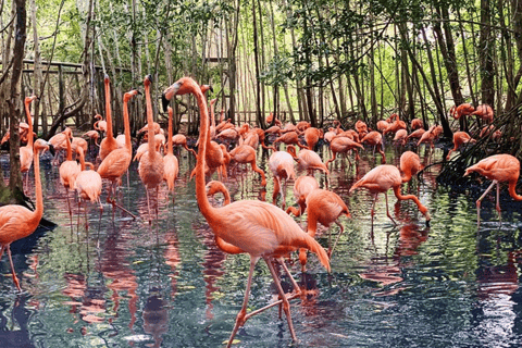 Cartagena: Private Transport and Entrance to AVIARIO, Baru