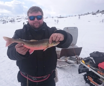 Dag med en lokalbo - en äkta finsk upplevelse