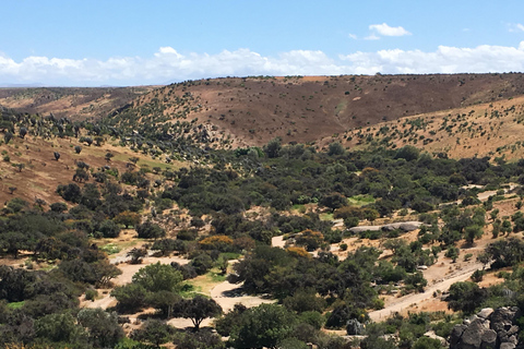 Chile: Das verzauberte Tal der atlantischen Schamanen Zeremonienstätte