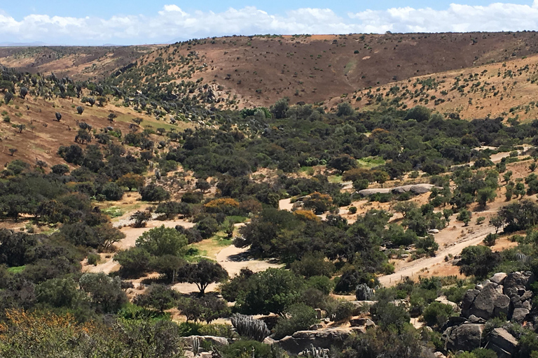 Chile: Das verzauberte Tal der atlantischen Schamanen Zeremonienstätte