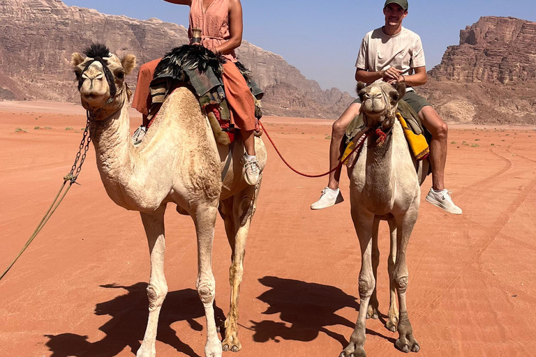 Wadi Rum: 2-Day Southern Desert Tour, Camel & Stargazing