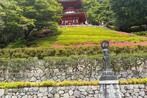 Kyoto: Hidden Kyoto & Spiritual Nara Private Day Trip