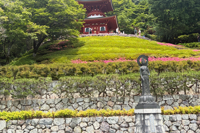 Kyoto: Hidden Kyoto & Spiritual Nara Private Day Trip