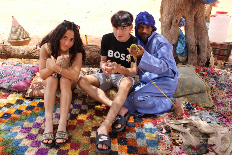 4x4 Mini Sahara & Berber Culture Experience from Agadir