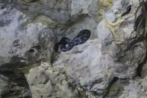 Da Cancun: avventura nella caverna dei serpenti di Kantemó