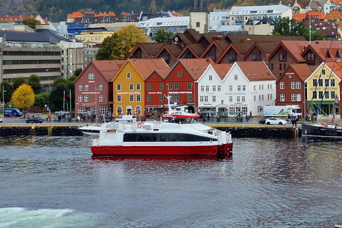 Bergen: Sightseeing-Kreuzfahrt zu Bergens historischen Wahrzeichen