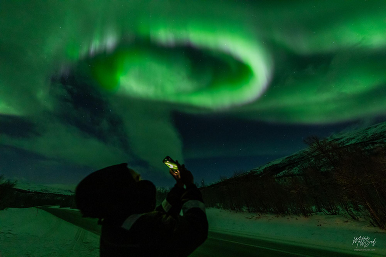 From Tromsø: Northern Lights Chase with Photos and Dinner