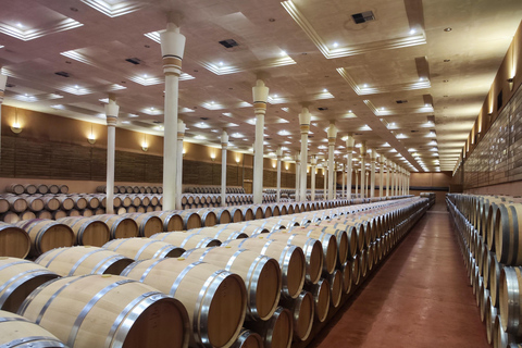 Visit and tasting in La Rioja wineries: Architecture, History and Wine Architecture and wine, and hidden wineries in RIOJA