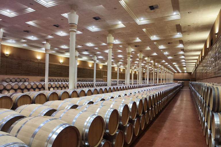 Visit and tasting in La Rioja wineries: Architecture, History and Wine Architecture and wine, and hidden wineries in RIOJA