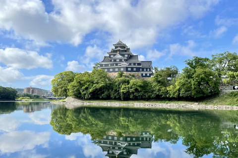 Wakayama & Koyasan: Private Tour with Hotel Pickup & Lunch