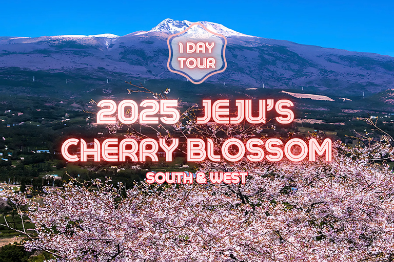 Jeju&#039;s Cherry Blossom South&amp;West jednodniowa wycieczka z odbiorem z hotelu