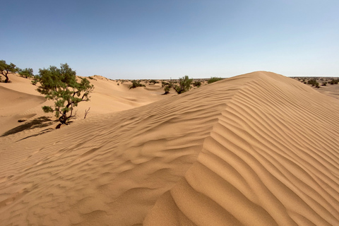 Von Agadir/Tamraght/Taghazout: Sandoarding in den Sanddünen