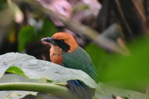 Mindo: &quot;Birds, Chocolate/Coffee and waterfalls&quot;