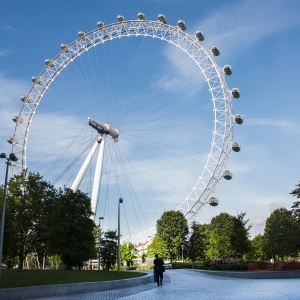 London: The London Eye Entry Ticket