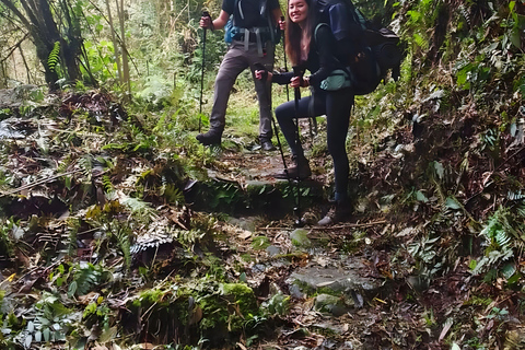 تشورو تريك مغامرة مثيرةتشورو تريك، مغامرة مثيرة