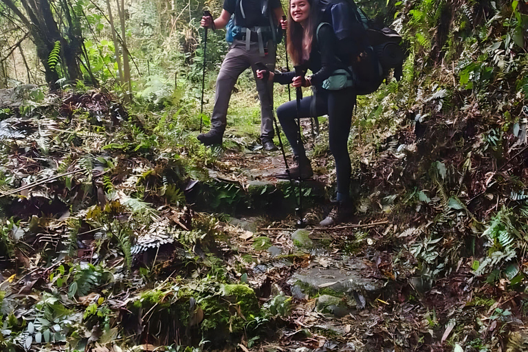 تشورو تريك مغامرة مثيرةتشورو تريك، مغامرة مثيرة