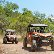 Algarve Buggy Tours