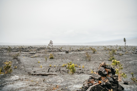 Big Island: Volcanoes National Park Group or Private Hike Group Tour