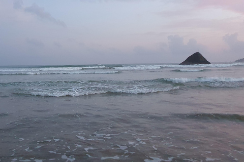 Matara: Temples, Hot Springs, and River Safari Day Trip