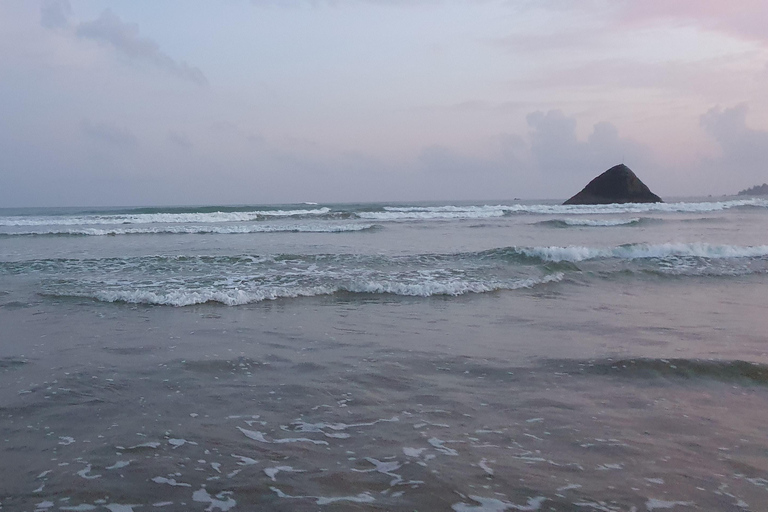 Matara: Temples, Hot Springs, and River Safari Day Trip