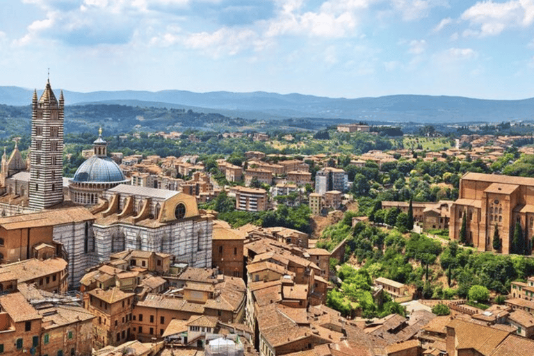 Tour di Siena, Pisa e San Gimignano con pranzo e degustazione di vini