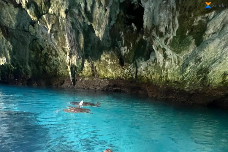 Zanzibar: Swim with Turtles in Nungwi Lagoon Hotel Transfers Anywhere in Zanzibar