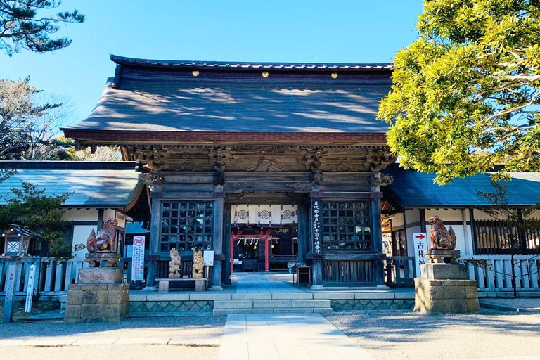 Tokyo & Ibaraki Tour: Hitachi Seaside Park & Adachi Wisteria