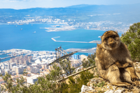 Gibraltar: Privat tur med St Michaels grotta och apor