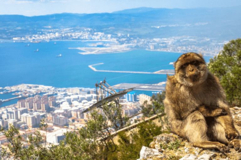 Gibraltar: Prywatna wycieczka z jaskinią św. Michała i małpami