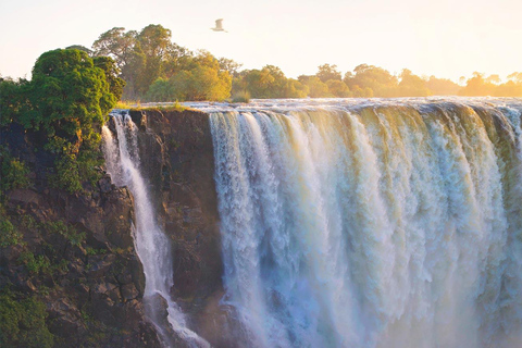 Visite guidée des chutes d&#039;eau