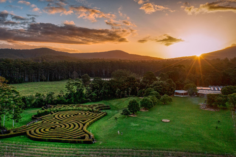 Herons Creek: Bago Maze Entry TicketBago Labyrinth - Eintritt