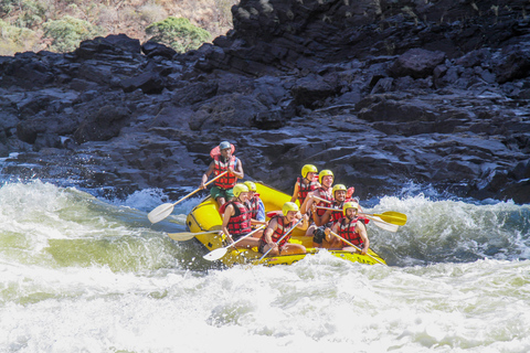 Vanuit Tirana/Durres/Golem: Adventure Rafting dagtrip met gidsPrivétour vanuit Tirana of Durres