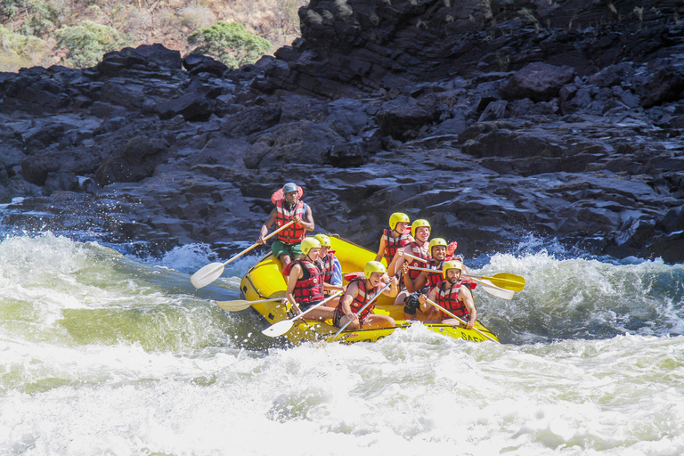 Desde Tirana/Durres/Golem: Excursión de un día de Rafting con Guía de AventuraTour privado desde Tirana o Durres