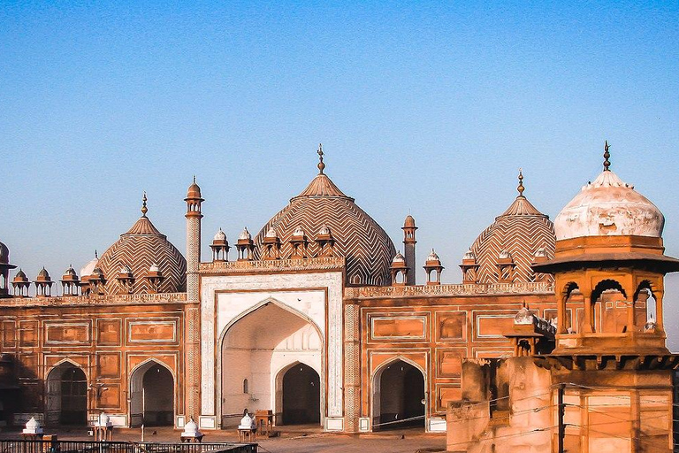 Agra: Day Tour to Tomb of Akbar, Baby Taj, Mehtab and more