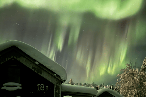 Northern Lights Hunt – Small Mixed Group from Levi or Ylläs