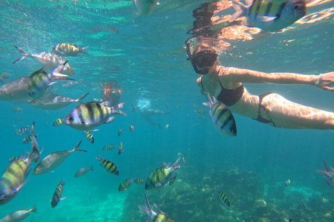 From Khao Lak: Phi Phi, Maya bay & Khai island Day Trip